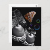 Carte Postale Acorns Papillon et bulles (Devant / Derrière)