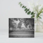 Carte Postale Acres sacrés (Debout devant)