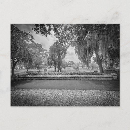 Carte Postale Acres sacrés (Devant)