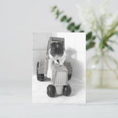 Carte Postale acres verts noah (Debout devant)