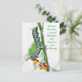 Carte Postale Actes aléatoires de générosité - Monarque Caterpil (Debout devant)