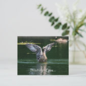 Carte Postale Action de l'aile Old Goose (Debout devant)