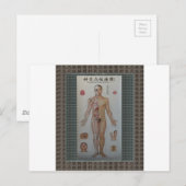 Carte Postale Acupuncture points plein corps avant art (Devant / Derrière)