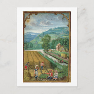 Carte Postale Add 18855 Septembre : harvesting, ploughing and so
