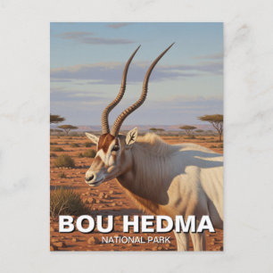 Carte Postale Addax Antelope dans le Parc National de Bou Hedma 