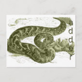 Carte Postale Adder (serpent) (Devant)