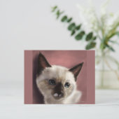 Carte Postale Addie (Debout devant)