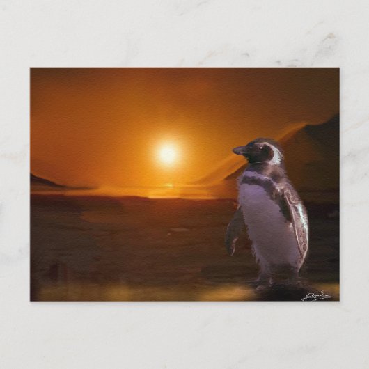 Carte Postale Adelie Penguin et coucher de soleil antarctique (Devant)