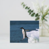 Carte Postale Adelie Penguins Saut D'Un Iceberg (Debout devant)