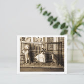 Carte Postale Adgie et ses Lions Formés1897 (Debout devant)