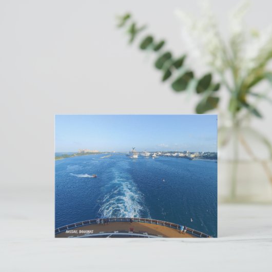 Carte Postale Adieu Nassau, Bonjour Open Seas (Debout devant)