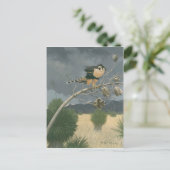 Carte Postale ADiplomado Falcon (Debout devant)