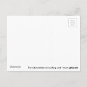 Carte postale Adirondack (Dos)