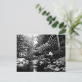 Carte Postale Adirondack Fly Fishing (Debout devant)