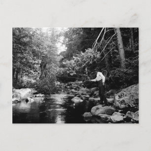 Carte Postale Adirondack Fly Fishing