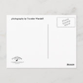 Carte postale Adirondack Lake (Dos)