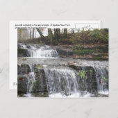 Carte postale Adirondack Waterfall (Devant / Derrière)