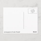 Carte postale Adirondacks #001 (Dos)