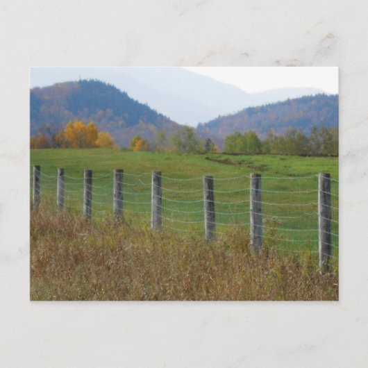 Carte Postale Adirondacks Fire Road North Elba New York (Devant)