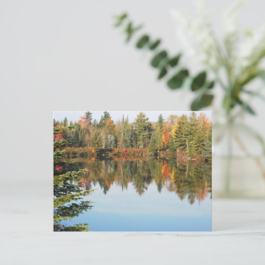 Carte Postale Adirondacks Upper Chub River Scène d'automne (Debout devant)