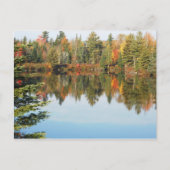 Carte Postale Adirondacks Upper Chub River Scène d'automne (Devant)