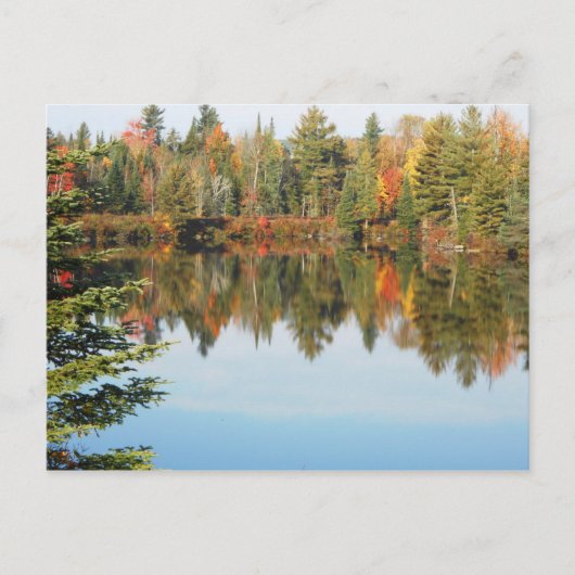 Carte Postale Adirondacks Upper Chub River Scène d'automne (Devant)