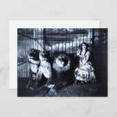 Carte Postale Adjie et les Lions 1899 (Devant / Derrière)