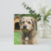 Carte Postale Adopter un animal (Debout devant)