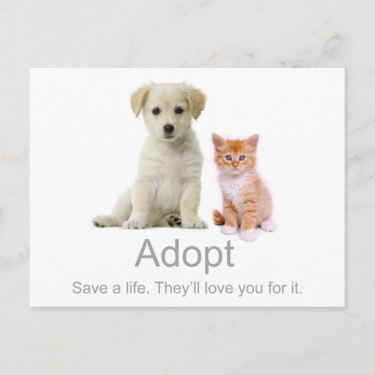 Carte Postale adopter un animal (Devant)