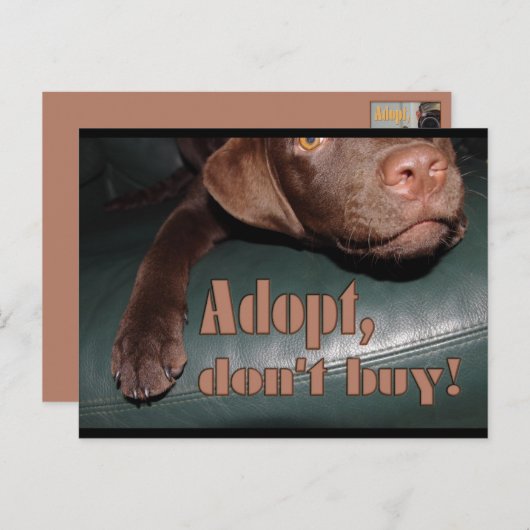 Carte Postale Adoptez, n'achetez pas ! - fuxart (Devant / Derrière)