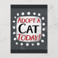 Carte postale Adoptez un chat aujourd'hui