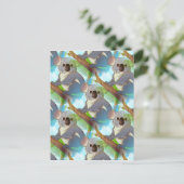 Carte Postale Adoptez un koala ! (Debout devant)