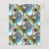 Carte Postale Adoptez un koala ! (Devant)