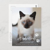 Carte Postale Adoption de chats ou de chats, présentation de la  (Devant / Derrière)