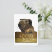 Carte Postale Adoption de la Secourt de porc de Guinée (Debout devant)