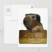 Carte Postale Adoption de la Secourt de porc de Guinée (Devant / Derrière)