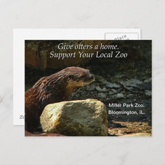 Carte Postale Adorable (Devant / Derrière)