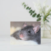 Carte Postale Adorable (Debout devant)