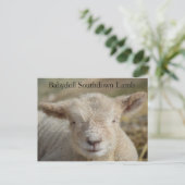 Carte Postale Adorable Babydoll Agneau du sud (Debout devant)