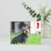 Carte Postale adorable bébé chiot chien dans le jardin en jeu (Debout devant)