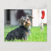 Carte Postale adorable bébé chiot chien dans le jardin en jeu (Devant)