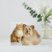 Carte Postale Adorable Best Friends Photo Chien et Chat (Debout devant)