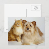 Carte Postale Adorable Best Friends Photo Chien et Chat (Devant / Derrière)