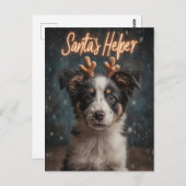 Carte Postale Adorable Bordure Collie Puppy comme Père Noël Help (Devant / Derrière)