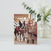 Carte Postale Adorable Boston Terrier et un chat aller Shopping (Debout devant)