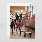 Carte Postale Adorable Boston Terrier et un chat aller Shopping (Devant / Derrière)
