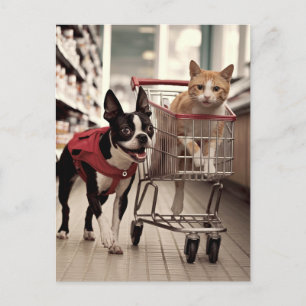 Carte Postale Adorable Boston Terrier et un Ginger Cat Shopping