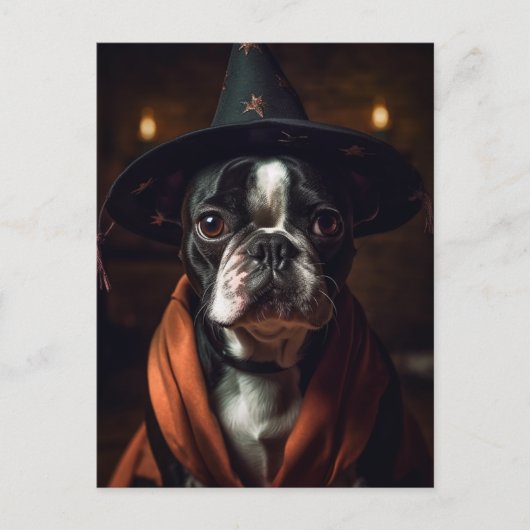 Carte Postale Adorable Boston Terrier Halloween (Devant)