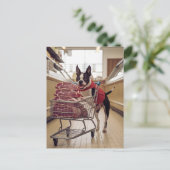 Carte Postale Adorable Boston Terrier Shopping Pour La Viande (Debout devant)