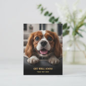 Carte Postale Adorable Cavalier King Charles Spaniel Get Well  (Debout devant)